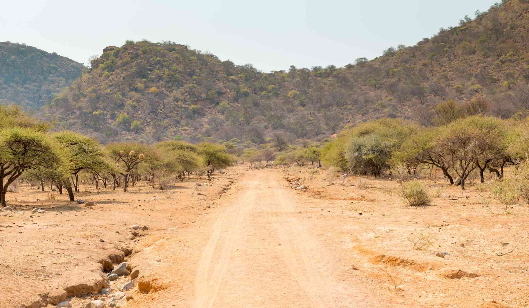 Safari Botswana