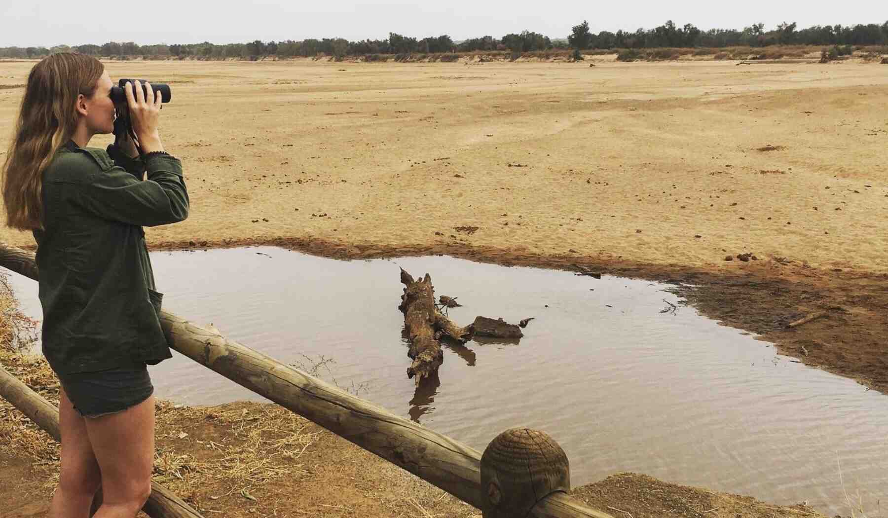 safari-jumelles-afrique-du-sud